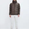 Sculpt 2.0 Jacket - Pale Brown